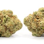 AA+ Lemon Gelato ($65oz) - Image 2